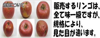 りんごの規格について